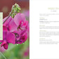 Raised-Bed Gardening for Beginners: Your Guide to Growing Sustainability and Self-Sufficiency