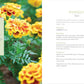 Raised-Bed Gardening for Beginners: Your Guide to Growing Sustainability and Self-Sufficiency