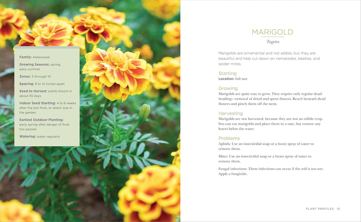 Raised-Bed Gardening for Beginners: Your Guide to Growing Sustainability and Self-Sufficiency