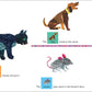 World of Eric Carle, Around the Farm 30-Button Animal Sound Book - Great for First Words - PI Kids