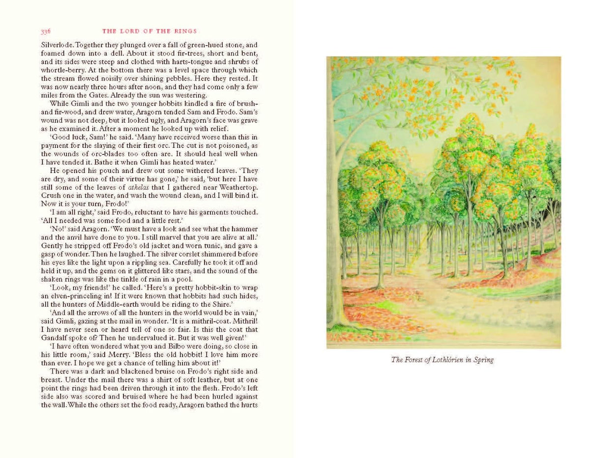 The Lord of the Rings Illustrated