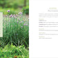 Raised-Bed Gardening for Beginners: Your Guide to Growing Sustainability and Self-Sufficiency