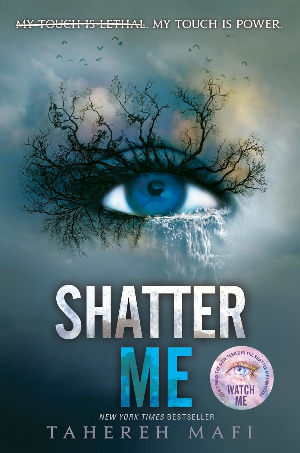 Shatter Me: A Journey of Strength and Rebellion Against a Dictatorship (Shatter Me: Series One, 1)