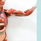 Human Anatomy for Kids: A Junior Scientist's Guide to How We Move, Breathe, and Grow