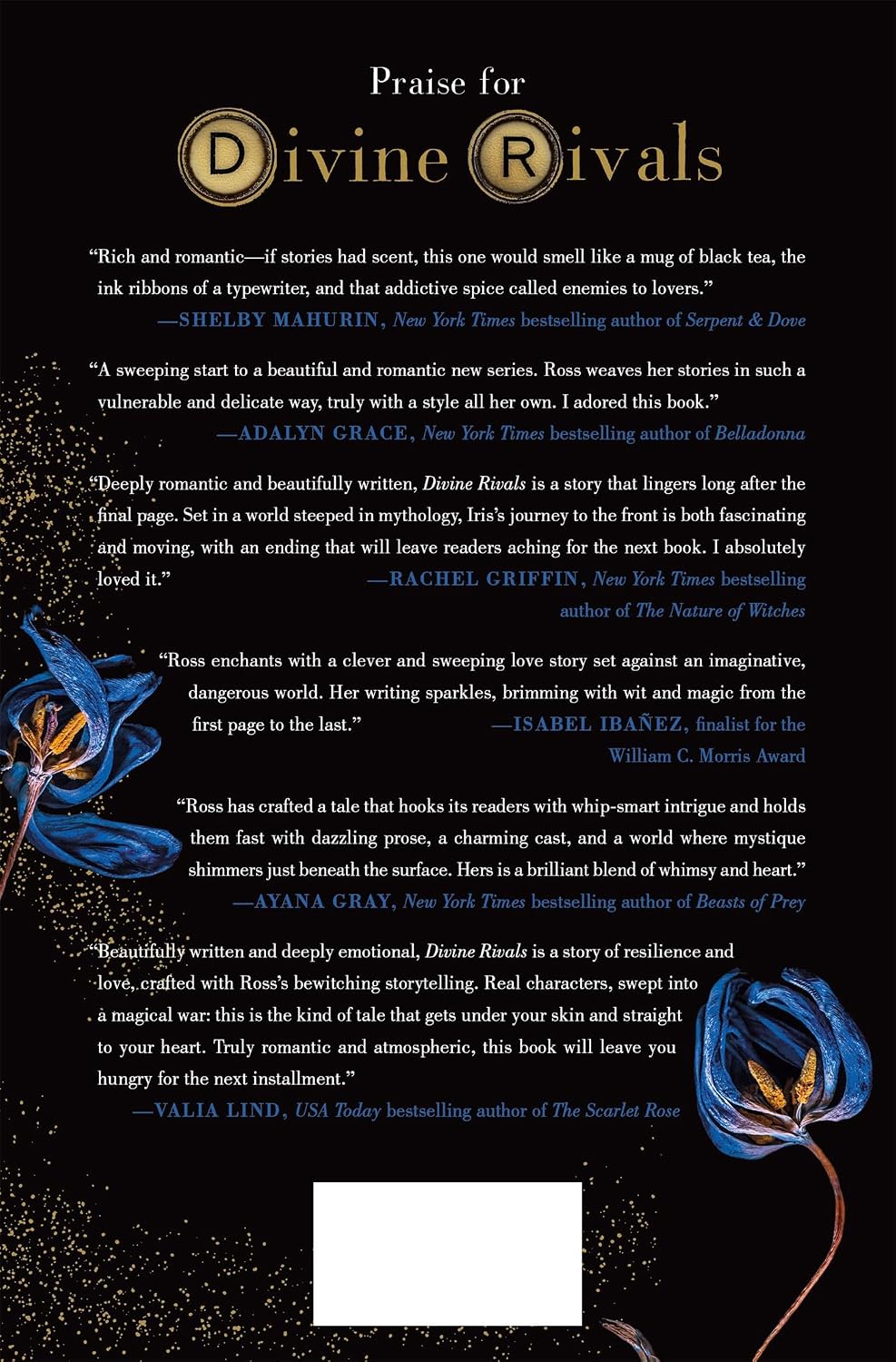 Divine Rivals: A Novel (Letters of Enchantment, 1)
