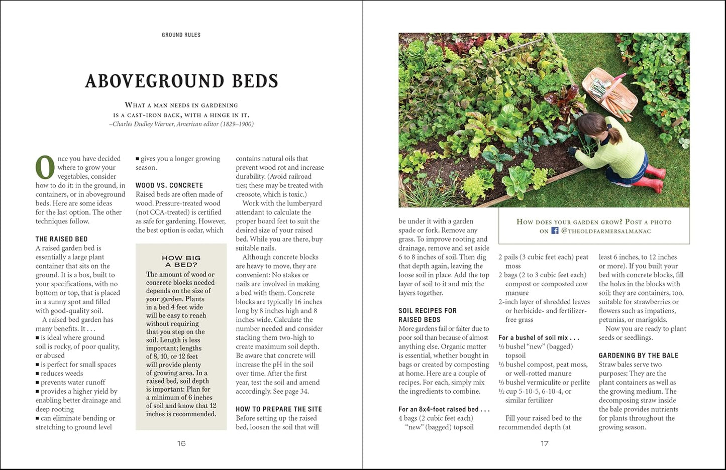 The Old Farmer's Almanac Vegetable Gardener’s Handbook: Essential Step-by-Step Advice for Growing Vegetables and Achieving Success