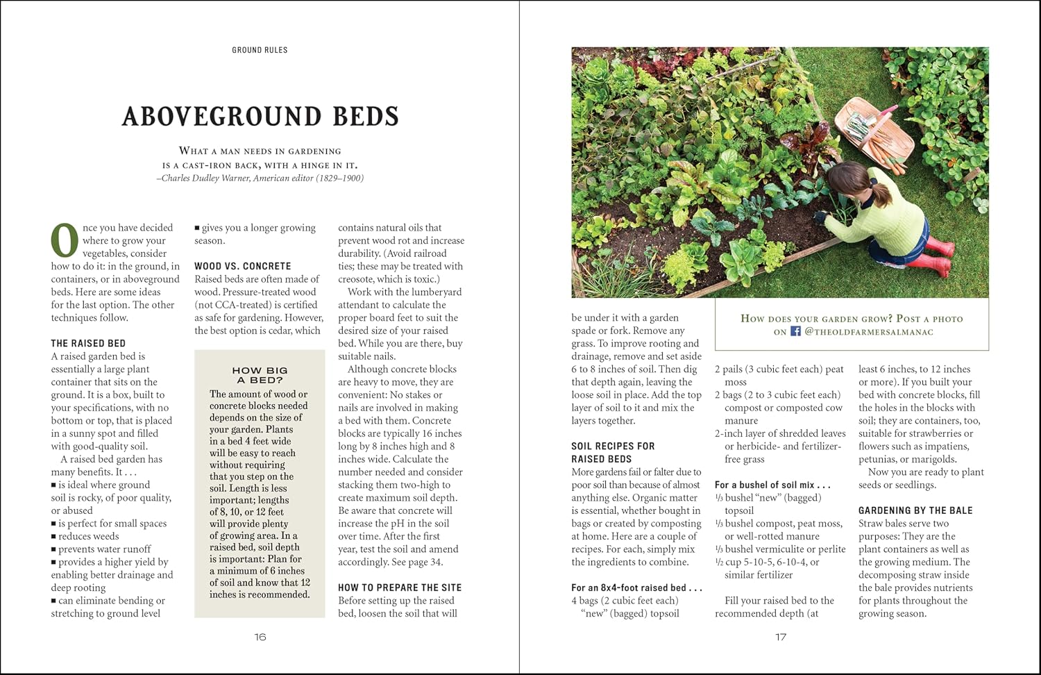 The Old Farmer's Almanac Vegetable Gardener’s Handbook: Essential Step-by-Step Advice for Growing Vegetables and Achieving Success