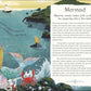 The Book of Mythical Beasts and Magical Creatures (Mysteries, Magic and Myth)